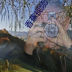香蕉视频污在线观看