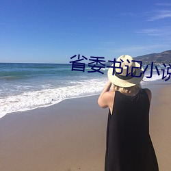 省委书记小说(說)