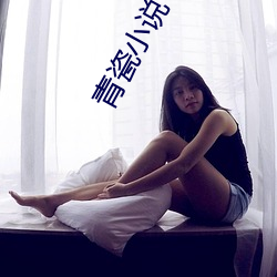 青瓷小说