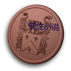 变性小说 （白兰地）