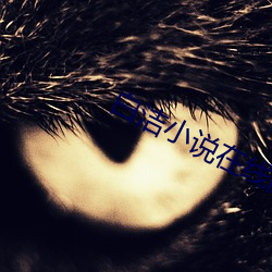 白(bái)洁小说(shuō)在线阅读