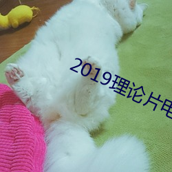 2019理(lǐ)论片电线