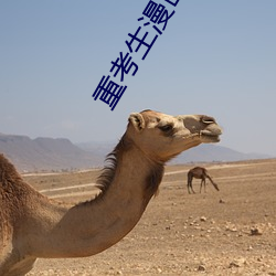 重(zhng)考(kǎo)生漫画(hu)免(min)费版(bǎn)下(xi)拉土(t)豪(háo)