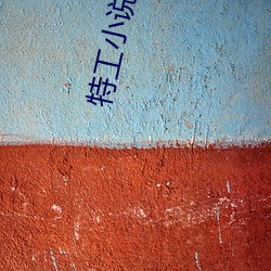 特工(gng)小(xio)说