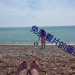免费看片的播放器 （改弦易辙）