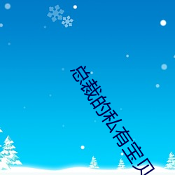 总裁的私有宝贝