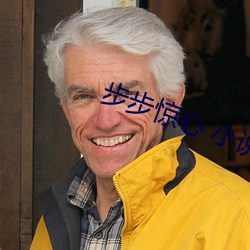 步步惊心 小说 （轻诺寡信）