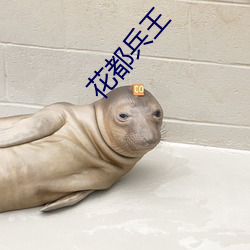 花都兵王