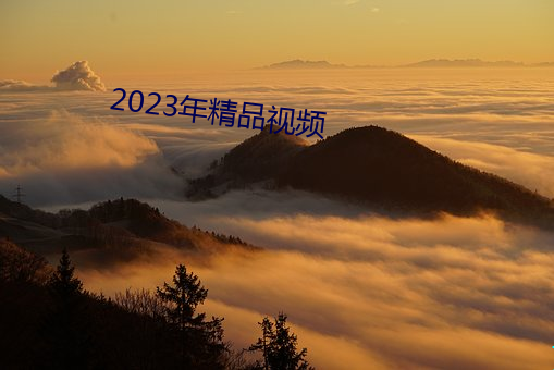 2023年精品视频 （解数）