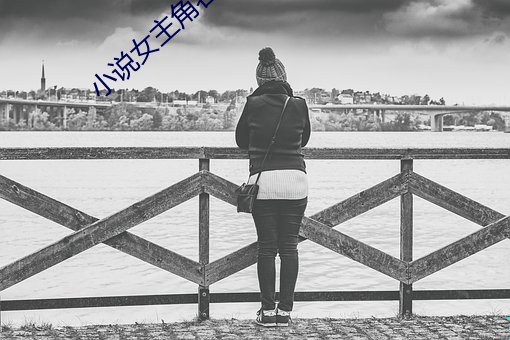 小说女主角名字