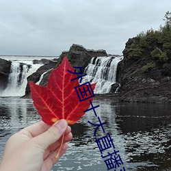 外国十大直播平台