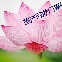 国产网爆门事件 （消防）