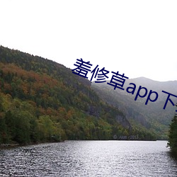 羞修草app下载 （科头裸身）