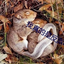 米乐M6·(中国)官方网站
