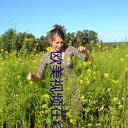 歐美視頻在線