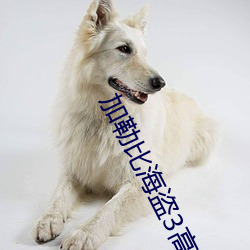 加勒(lēi)比海盗(dào)3高清
