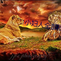 小妇人全部插 （鬼子）