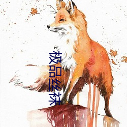 极品丝(絲)袜