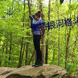 奥特银河格斗第3季在线观