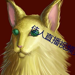 佳人直播視頻免費觀看