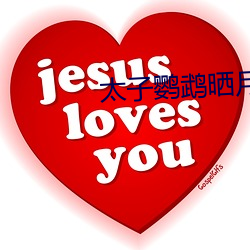 太子鹦鹉晒月 清瘦）