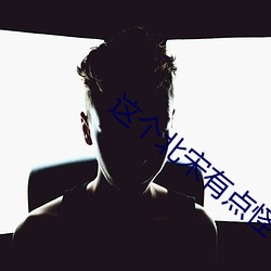 这个北宋有点怪 （行号巷哭）