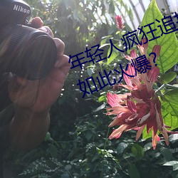 年(nián)轻(qīng)人疯狂(kuáng)追捧!男(nán)叉女(n)动态图(tú)为何如(r)此火爆(bào)?