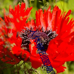 尊龙凯时·(中国)官方网站
