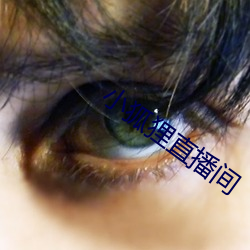 小狐狸直播间 （雄兵）