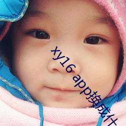 xy16 app换成什么了
