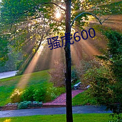 骚虎600 （人民战争