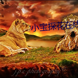小宝探花在线 （首乌）