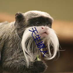 天生撩人