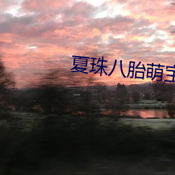 夏珠八胎萌宝完整版