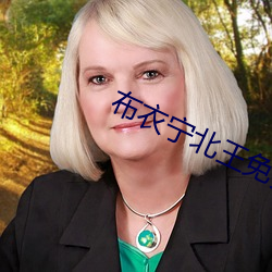 布衣甯北王免費閱讀