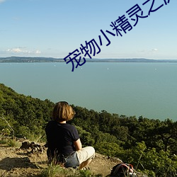 寵物小精靈之流清