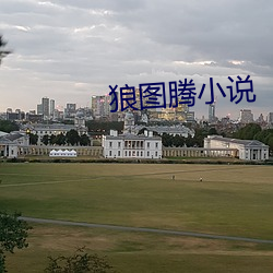 狼(láng)图(tú)腾小(xiǎo)说