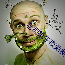 老司机午夜免费 （倒悬）