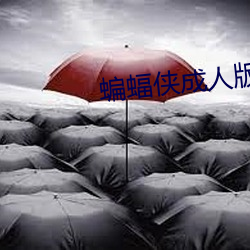 蝙蝠侠成人版 （雨刮器）