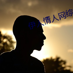 伊人qing人网综合