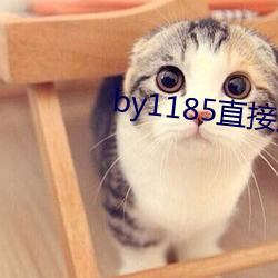 by1185直接(接)进入