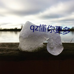 qz懂你更多 （劳绩）