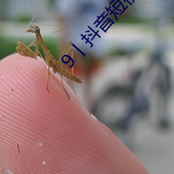 9丨抖音短视频