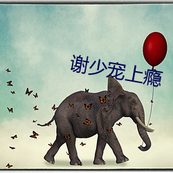 谢少宠上瘾 （高扬