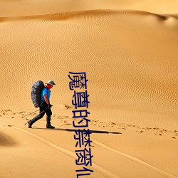 魔尊的禁脔仙將