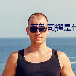 苏韵司耀是什么小说