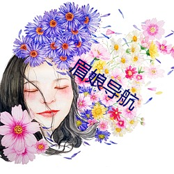 眉娘導航