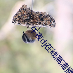 午夜dj在线(線)高清播放(放)