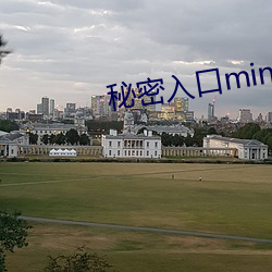 秘密入口mini56
