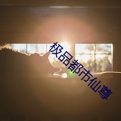 极品都市仙尊
